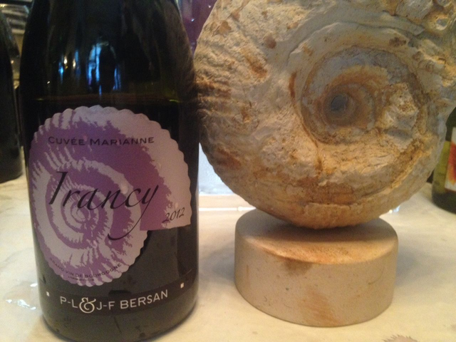 IRANCY cuvée Marianne JF Bersan 2019