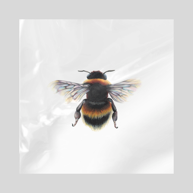 Serviette en papier - Bourdon