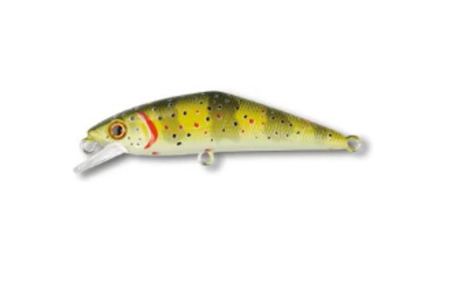 D-Contact 63 Color T1