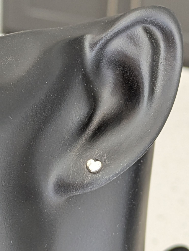 XSmall Heart Earrings