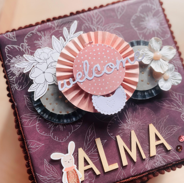 Valise de naissance avec album (20 photos comprises)