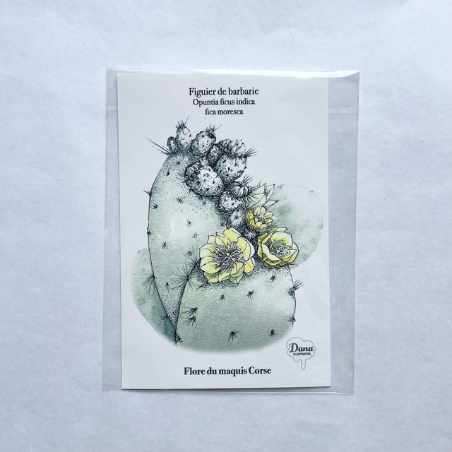 Carte Figuier de Barbarie