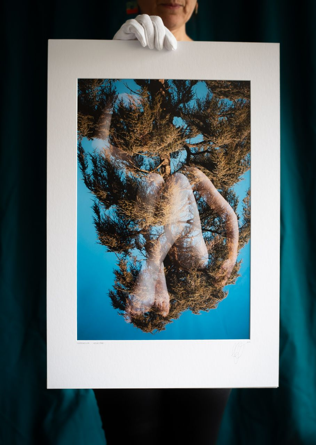 Suspension Végétale