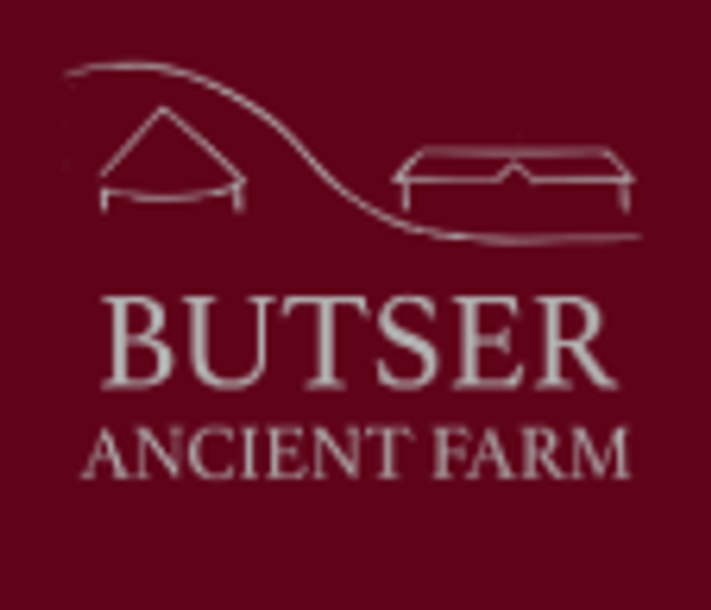 Year 3 Trip to Butser Ancient Farm