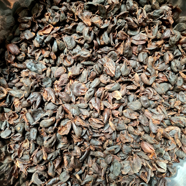 Koffiebes - Cascara - BIO