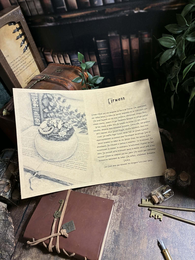 Choniques Draconiques: Eïrwenn