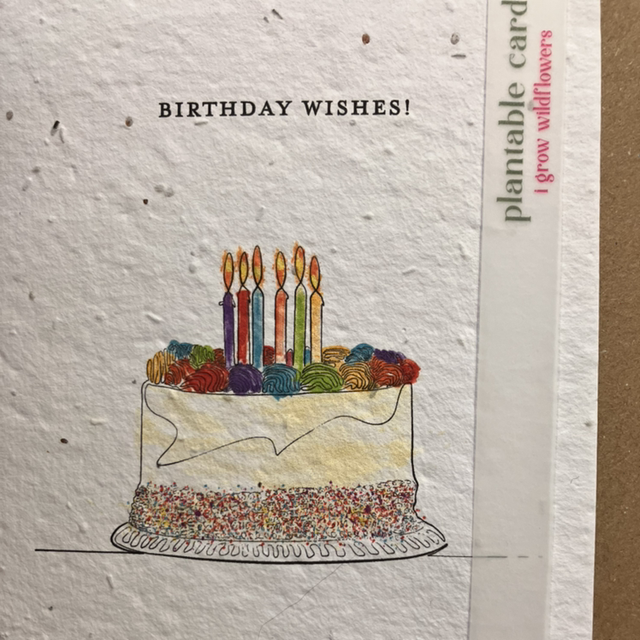 Seed Card Birthday Cake