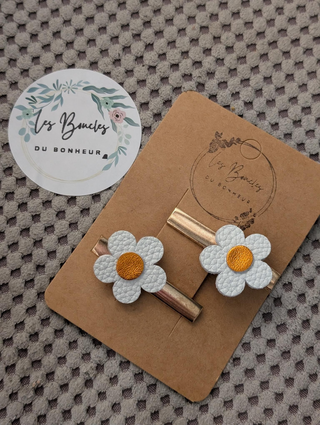 Barrette b064