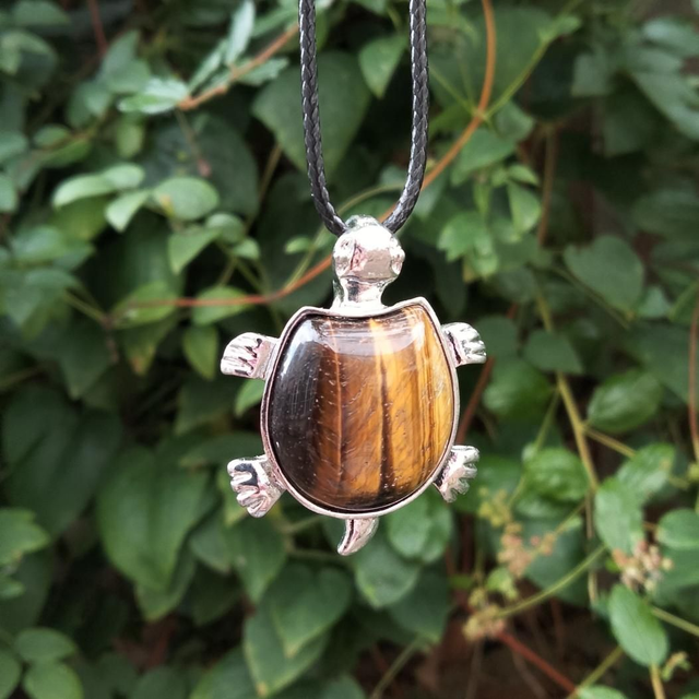Tigers Eye Tortoise 