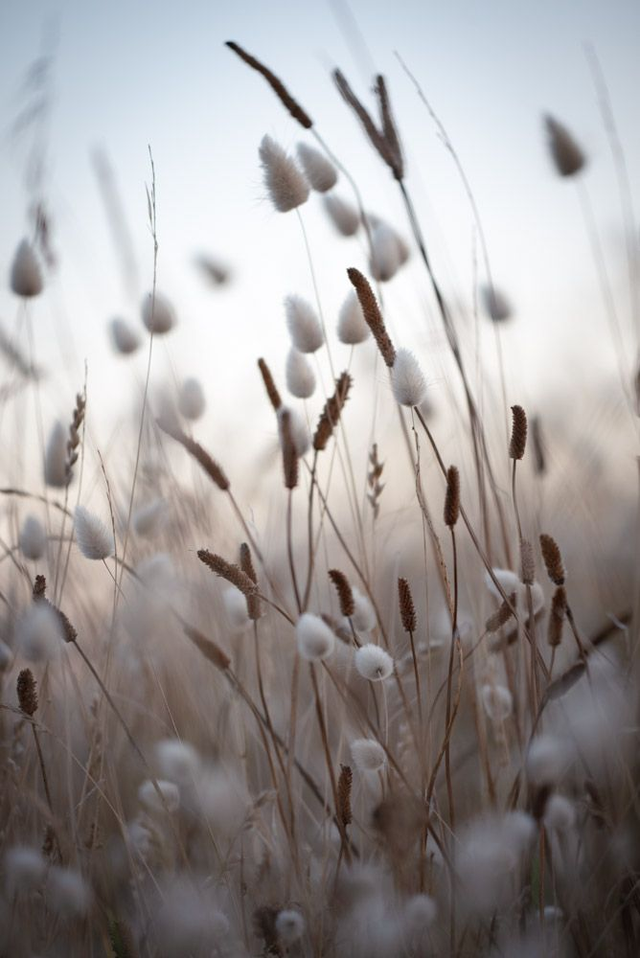 Vue sur l’océan 11