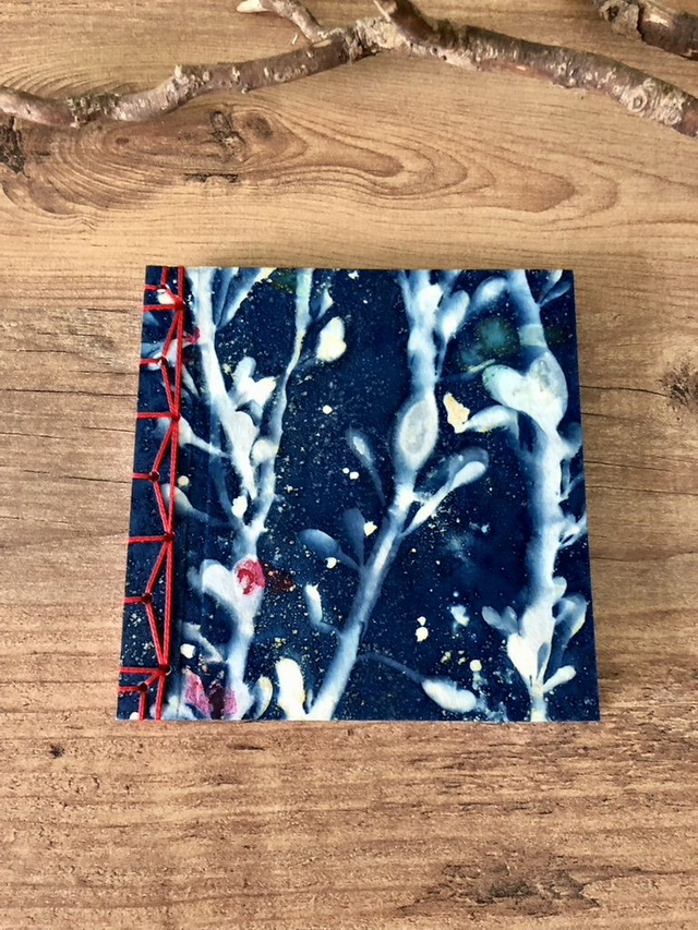 Carnet japonais Ascophyllum nodosum