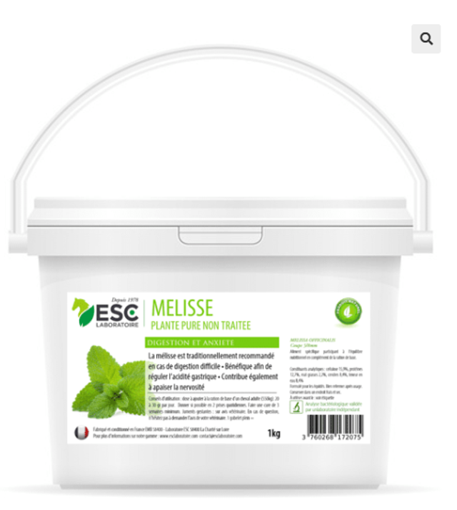 MELISSE – Estomac sensible et acidité gastrique cheval – Plante pure