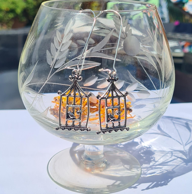 Earrings bird in a bird cage silver