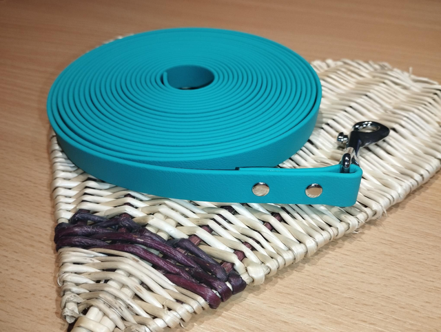 Longe Biothane personnalisable (16mm)