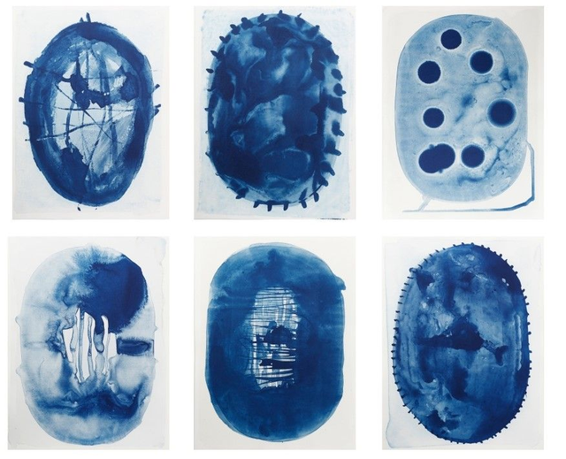 Cynobacterials, Cyanotypie