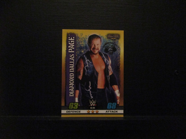 Diamond Dallas Page - Hall Of Fame Slam Attax 10th Edition Original Trading Card #254