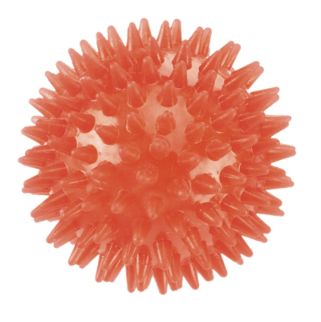 Gor Flex Squeaky Ball 9cm