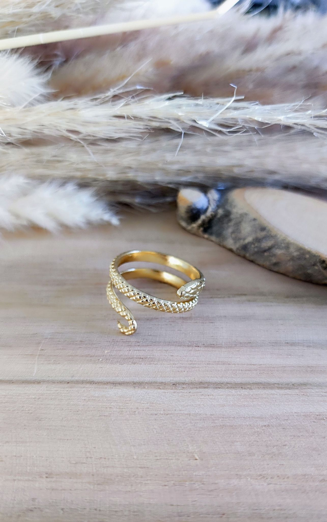 Bague Serpent acier