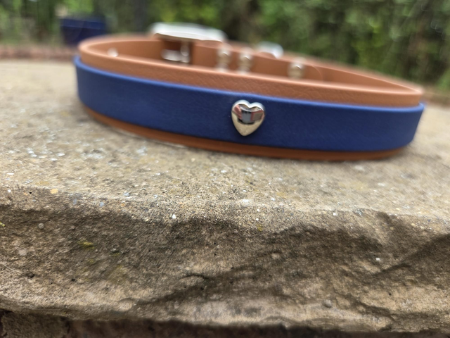 25mm 2 layer brown/navy biothane collar - to fit 18.5x21 inch neck