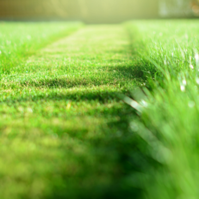 HERBE COUPEE GALET FONDANT