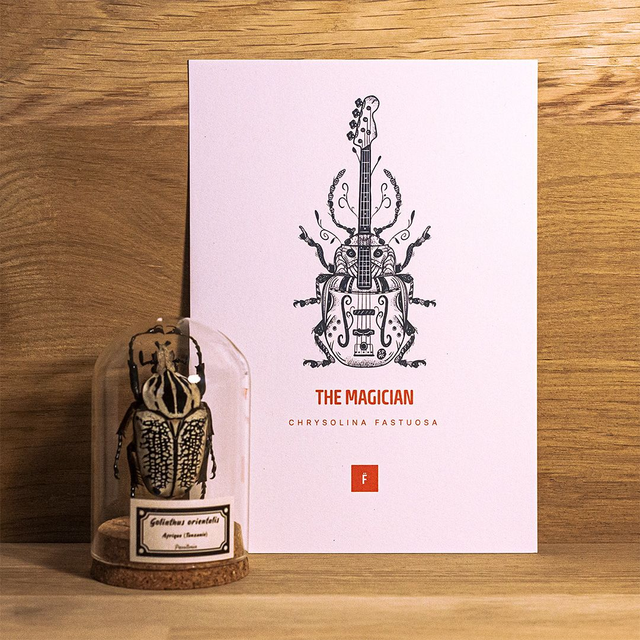 _A5 / The magician