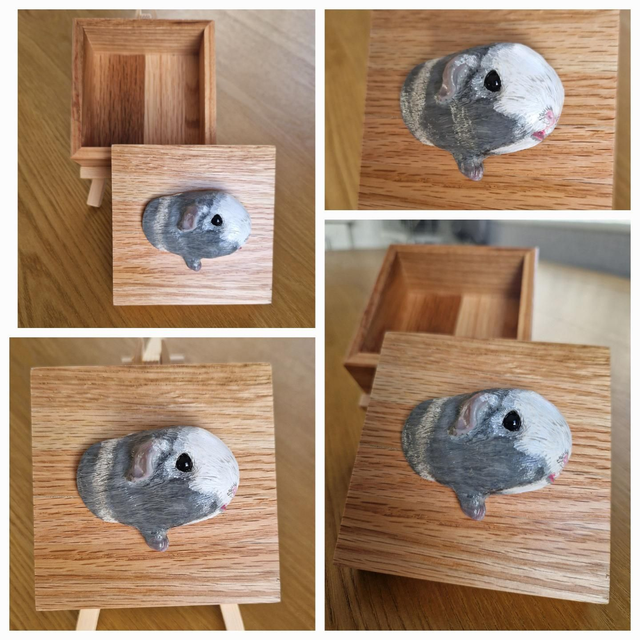 Guinea pig trinket box