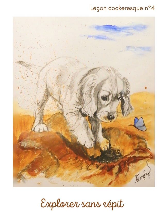 Affiche illustration explorer sans répit