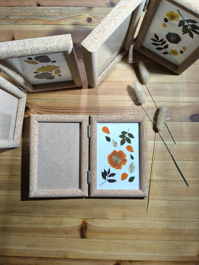 Herbier/Cadre photo liège 