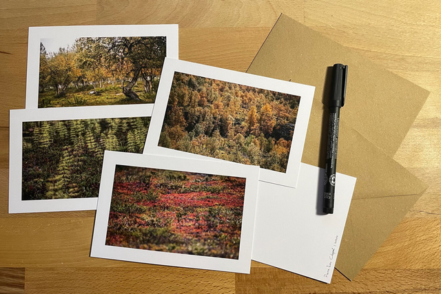 Lot de cartes 10x15 - TUNTURIS