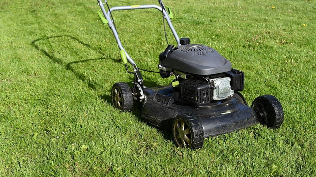 LAWN TIDYUP PLATINUM