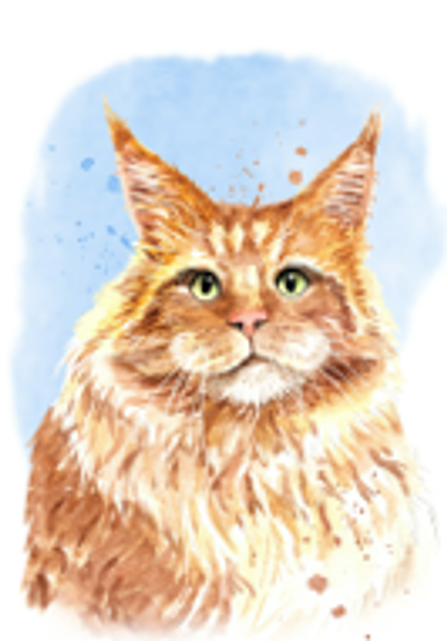 Hand made Cards - Cats