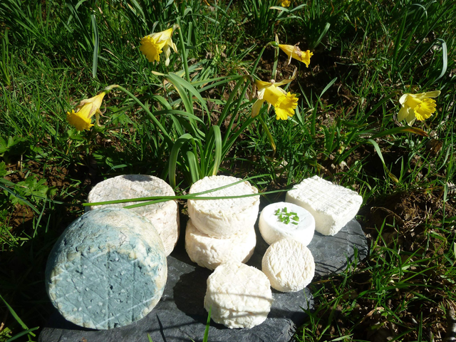 Tom' mixte - 33 € / kg - morceau de 250 gr environ