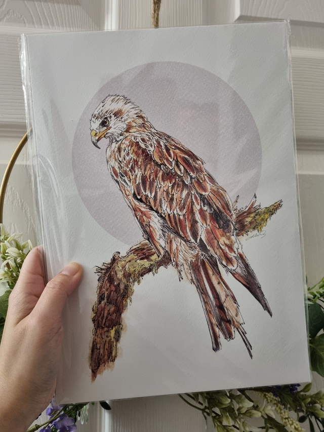 CLEARANCE - Old Paper Stock (textured) - "Red Kite" - A4 size