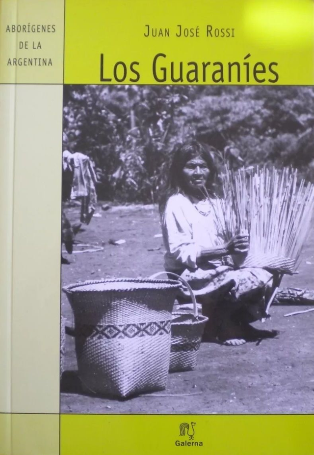 Los guaraníes: Una mirada crítica - Juan José Rossi