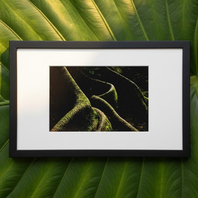 Racines #2 - fromager de Martinique - tirage d&#039;art