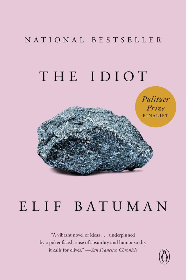 The Idiot / Elif Batuman