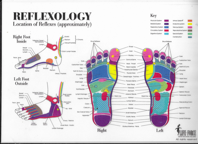 Reflexology Bundle: 4 Sessions.  Includes 15% discount off.