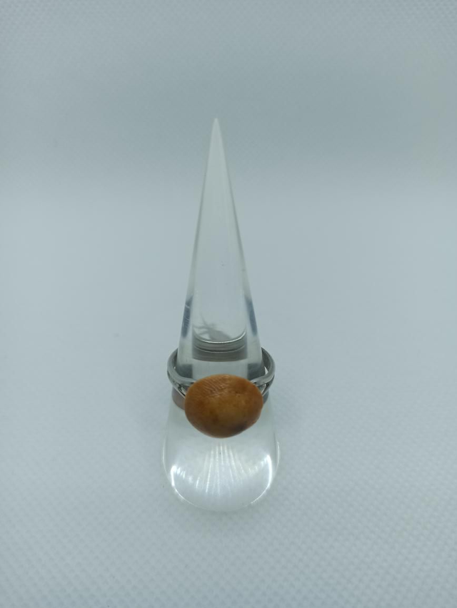 Œil de Sainte Lucie II