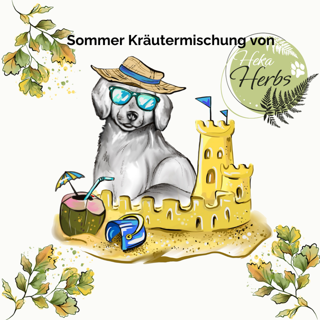 Sommer Kräutermischung