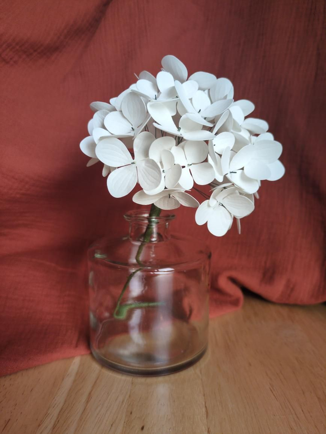 Vase soliflore cylindre bas transparent