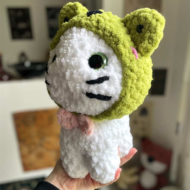 Chat - capuche grenouille