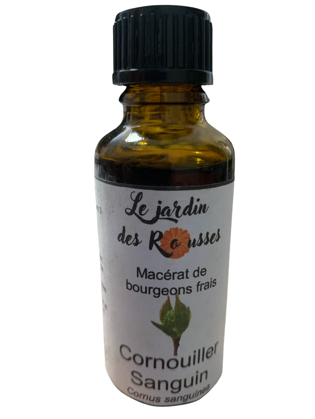 CORNOUILLER SANGUIN - Macérât glycériné de bourgeons Flacon de 30 ml 