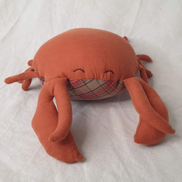 Crabe à carreaux- le Doudou de la Mer