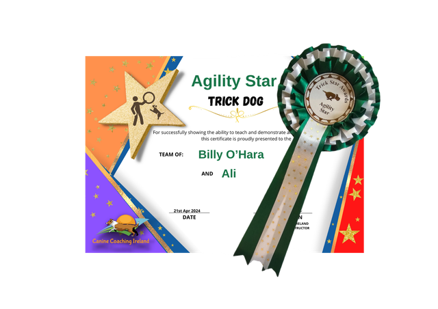 Agility Star - Cert &amp; Rosette  