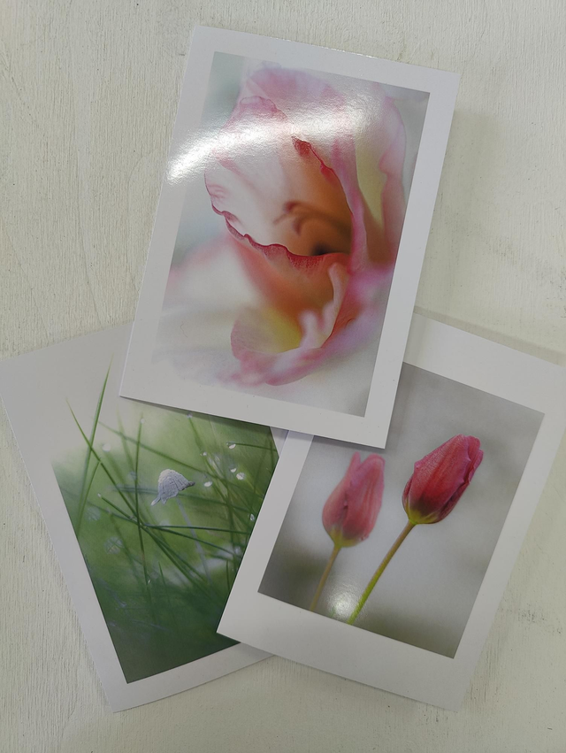 Greetings cards (set of 3)