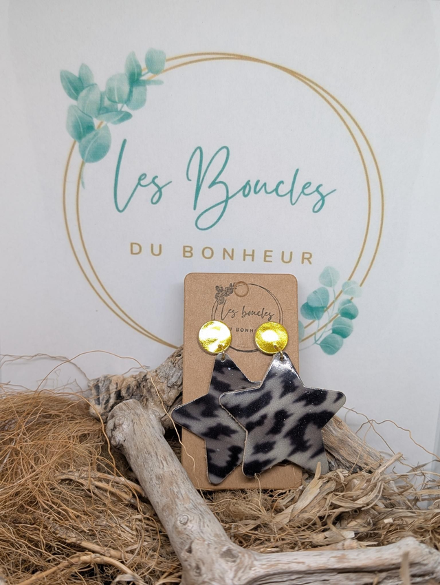 Boucles d&#039;oreilles Star luxe s200
