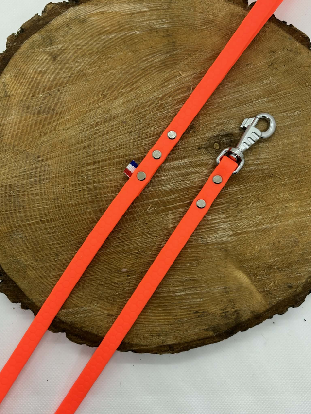 Laisse Cani-cool fine