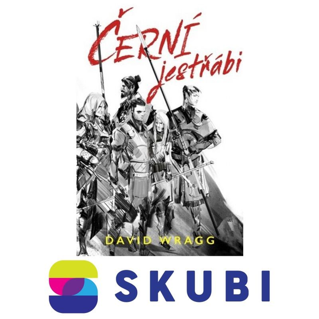 Kniha Černí jestřábi - David Wragg