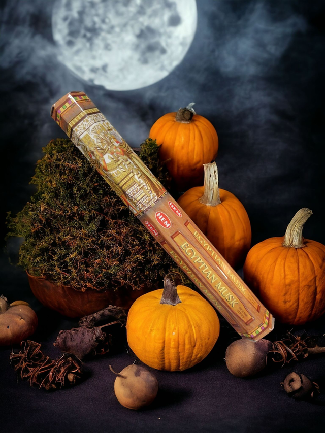 Batônnets d'encens "Musc Egyptien" HEM 20g