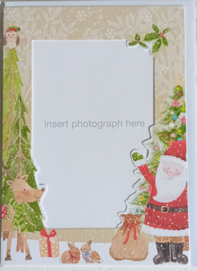 Christmas Photo Card - Santa &amp; Friends (Portrait)